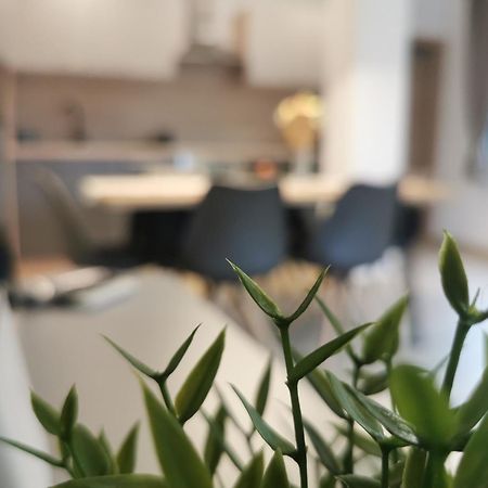 Apartma Bella Nadiza 코바리드 외부 사진