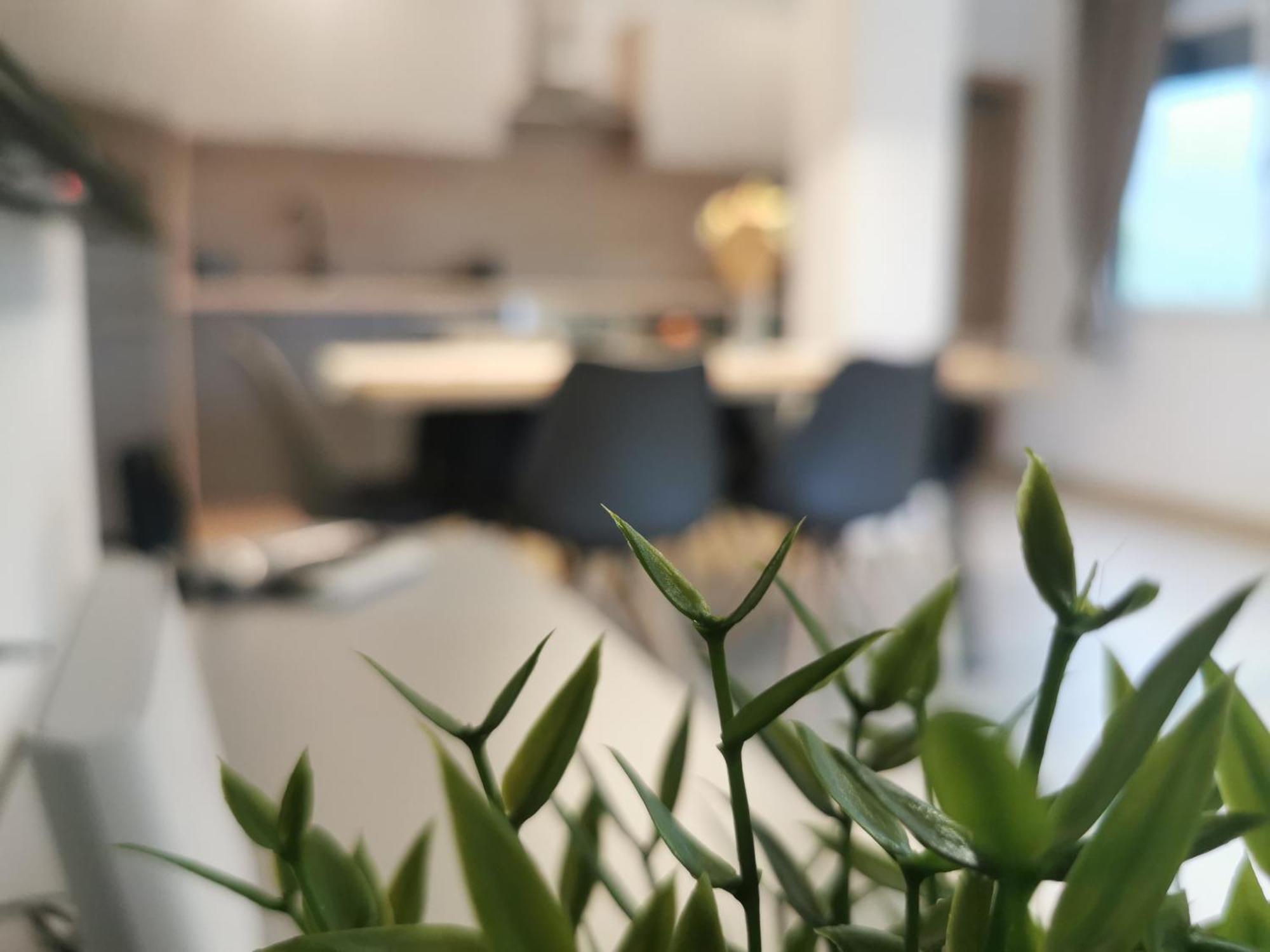 Apartma Bella Nadiza 코바리드 외부 사진